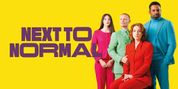 Willemijn Verkaik To Lead NEXT TO NORMAL Netherlands Tour Photo