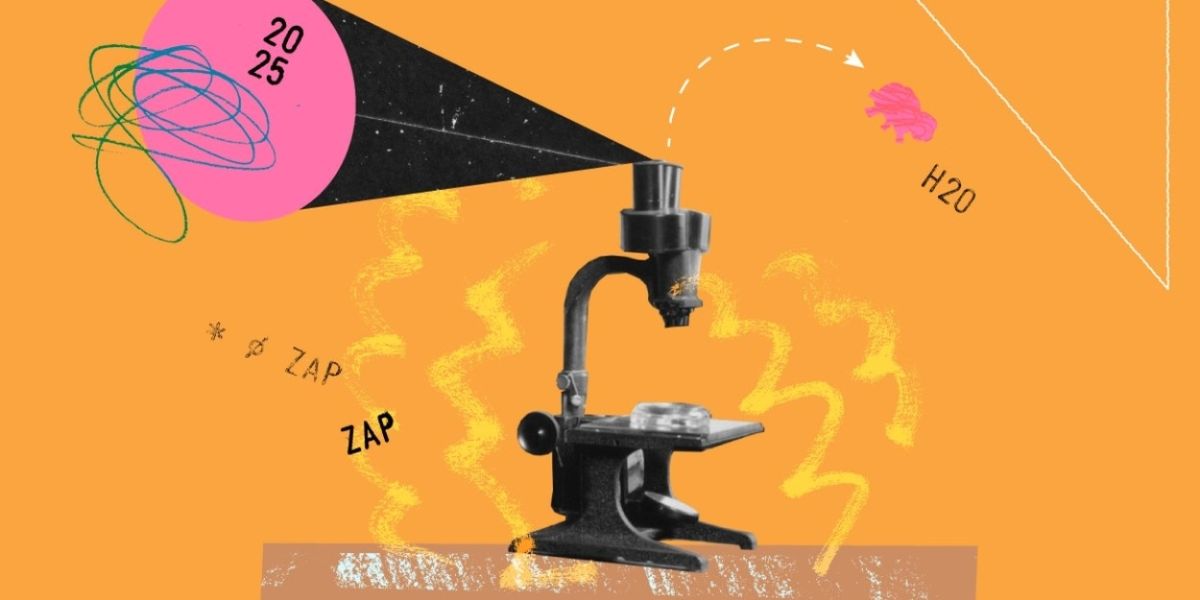 Windmill Reveals Programming For 2025