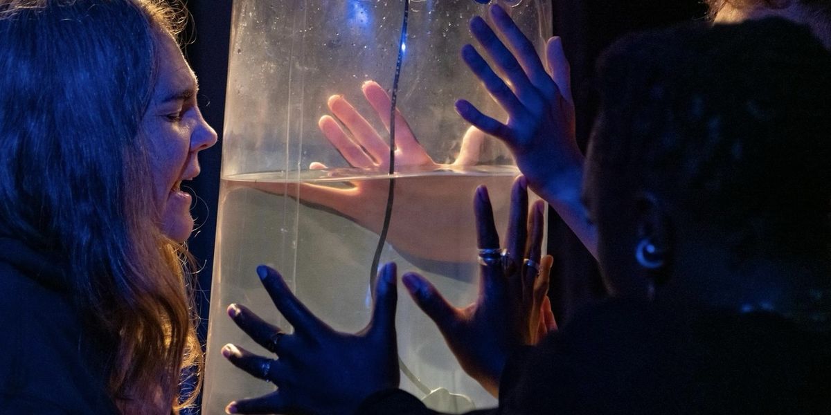 World Premiere of WILD MIX Comes to the Southbank Centre 