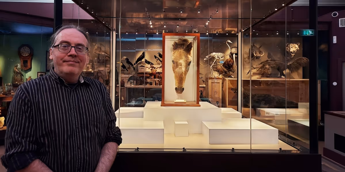 World's Oldest Horse Returns Home To Warrington As Part Of Arts Festival Relaunch And Campaign