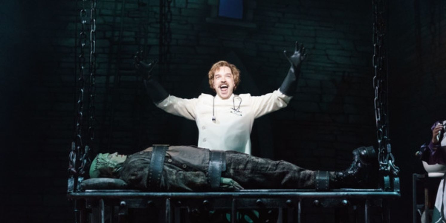 YOUNG FRANKENSTEIN Spin-off Series in the Works at FX  Image