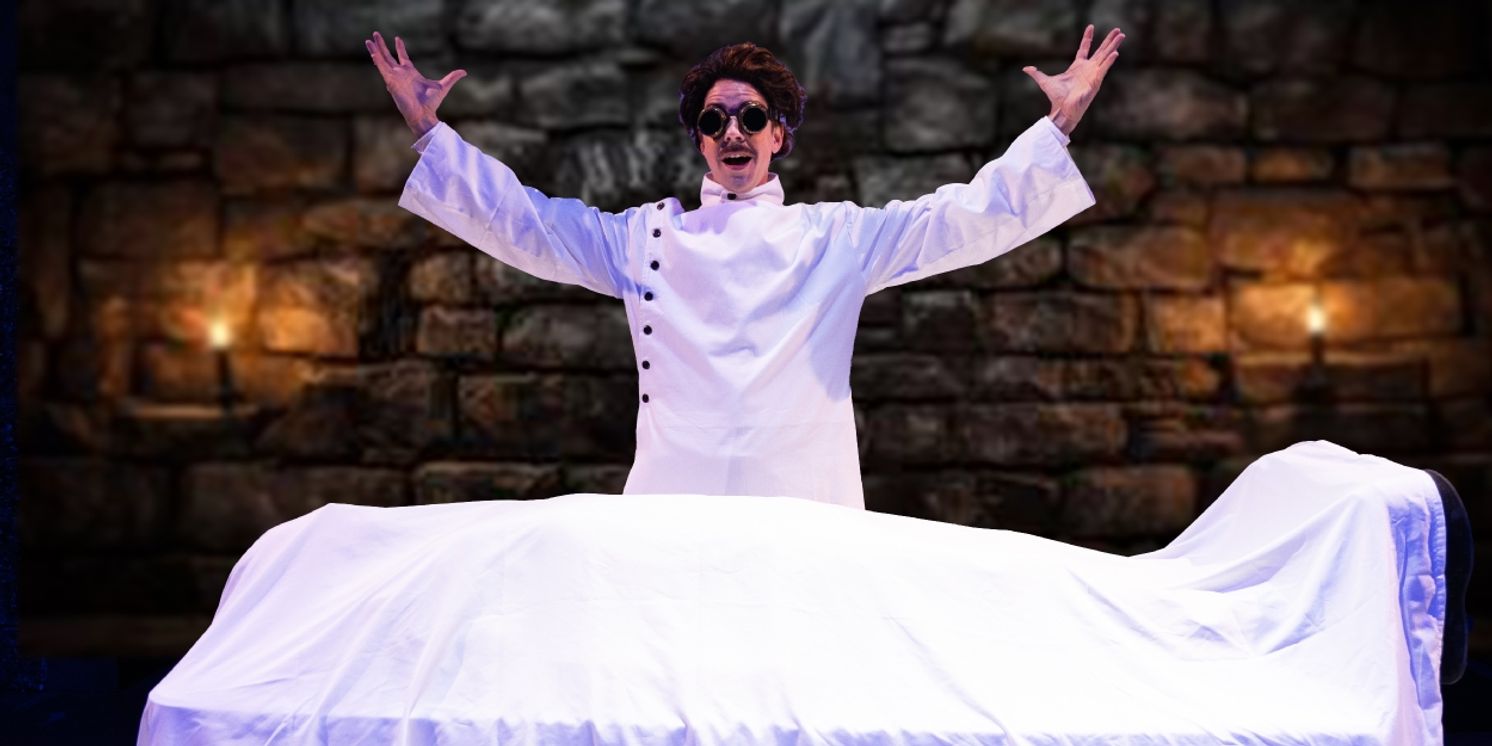 YOUNG FRANKENSTEIN Will Be Performed by Avon Players  Image