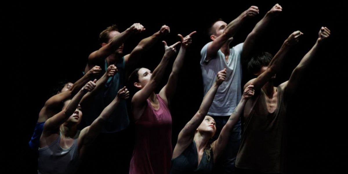 ZviDance to Present The World Premiere Of DANDELION