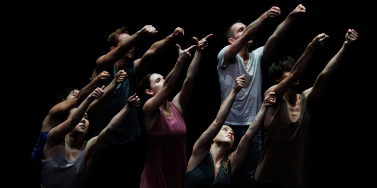 ZviDance to Present The World Premiere Of DANDELION  Image