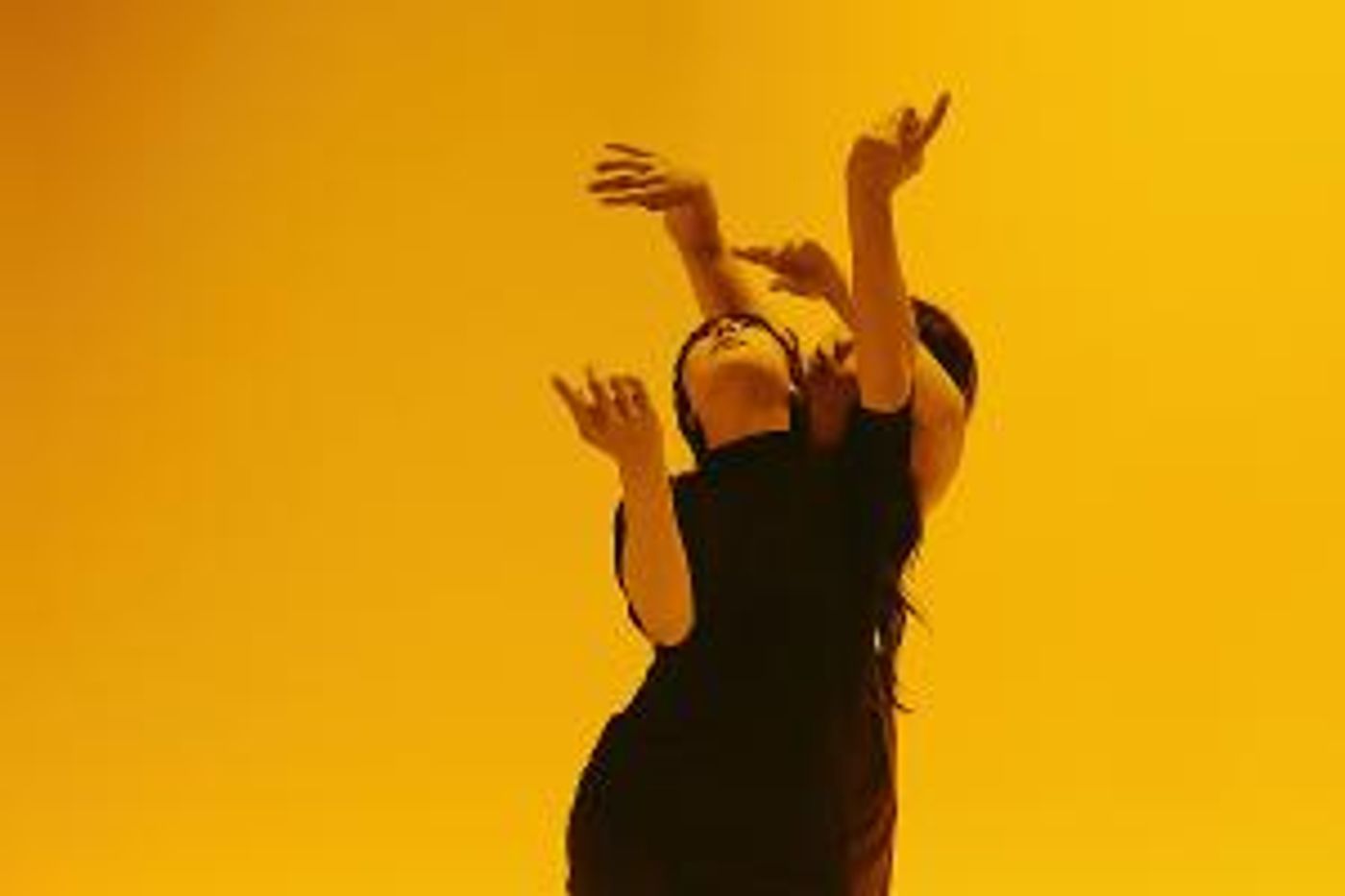 Local IBPOC Artists Unite For Calgary Premiere Of Multi-Sensory Presentation   Image