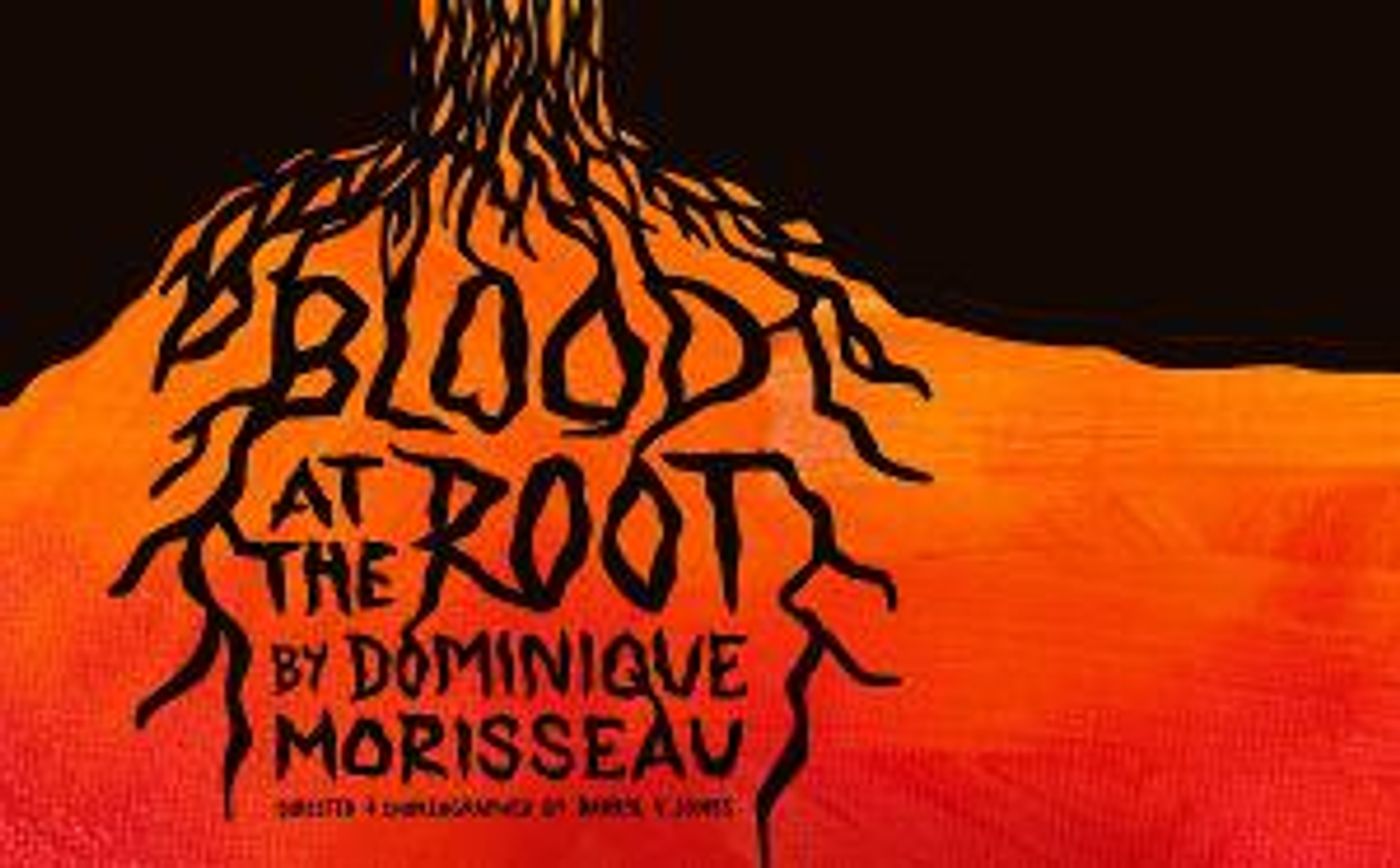 Dominique Morisseau's BLOOD AT THE ROOT Comes to Custom Made Theatre in May  Image