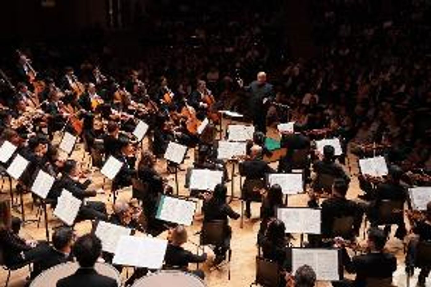 The Hong Kong Philharmonic Orchestra Is Back To The Stage With A New Line-up Of Programmes  Image