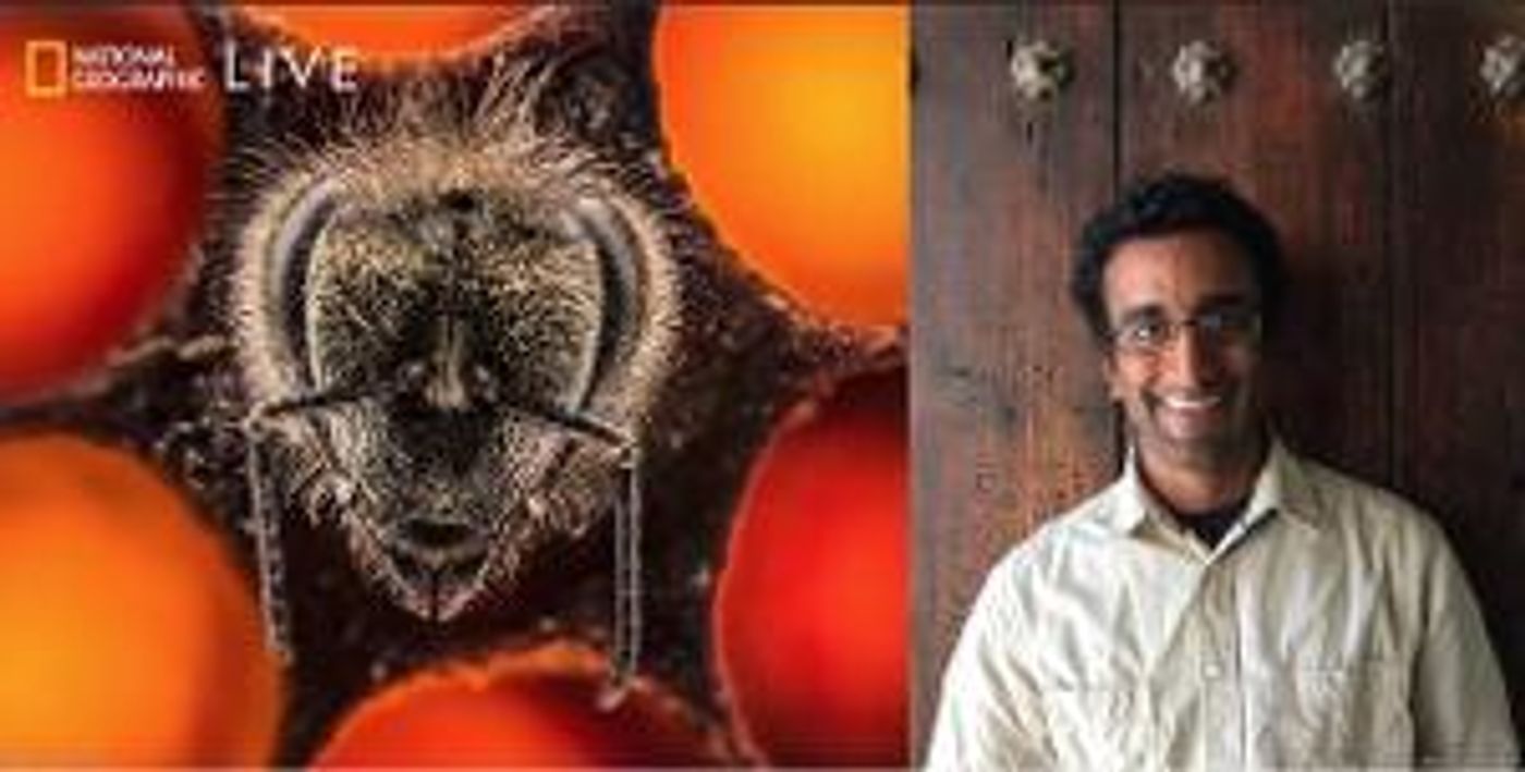 National Geographic Explorer and Photographer Anand Varma Tells The Story Behind Science  Image