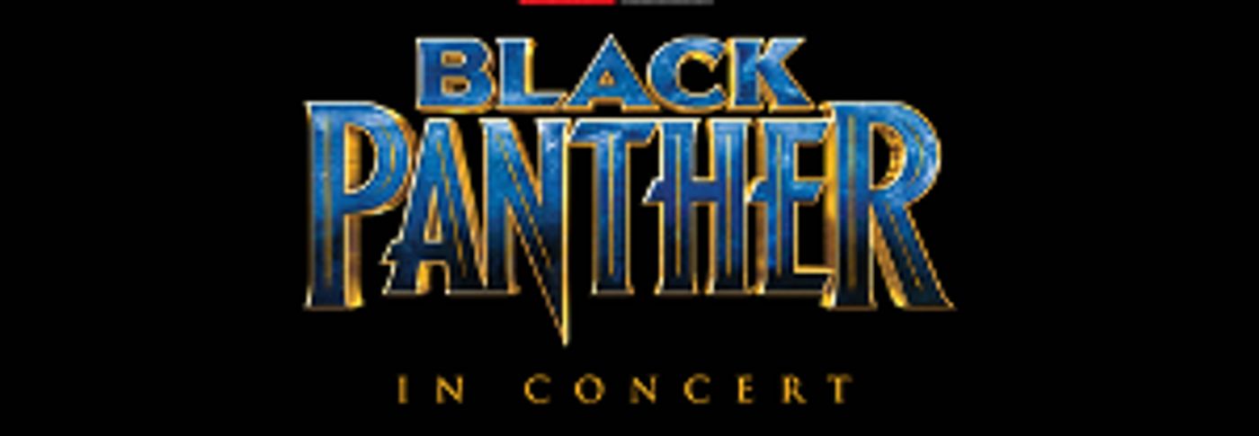 Chicago Philharmonic Performs MARVEL STUDIOS' BLACK PANTHER LIVE IN CONCERT  Image