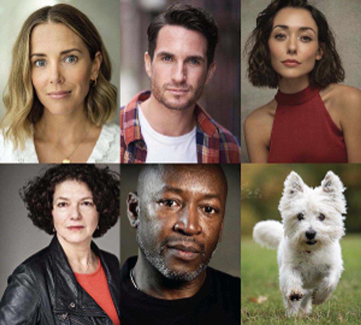 Full Cast Announced For IDENTICAL, New Musical Adaptation of THE PARENT TRAP  Image