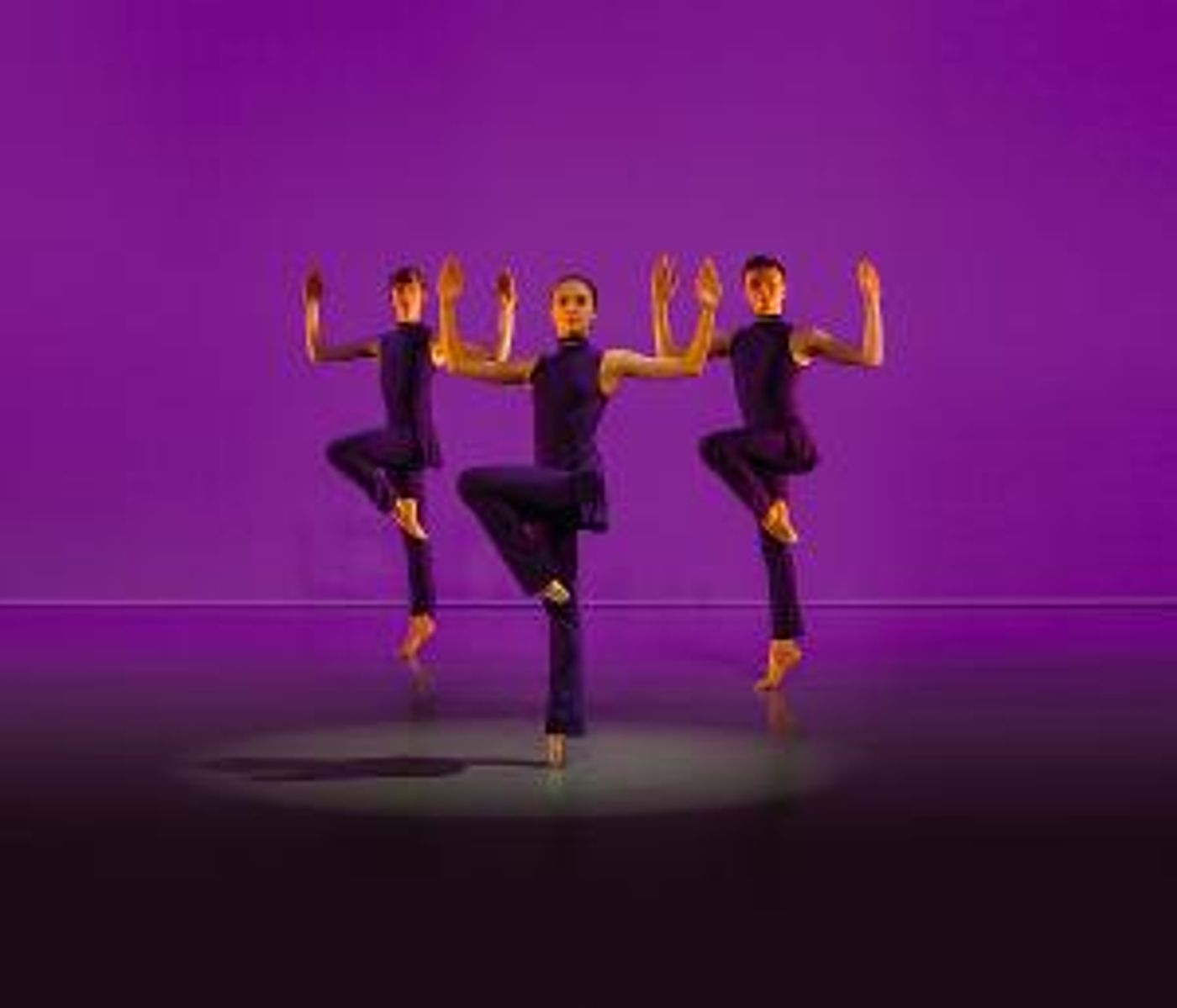 Elmhurst Ballet School Presents ASCENT, the School's Summer Run of Shows For 2022  Image