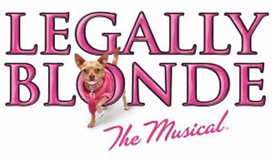 Get 25% Off Tickets to LEGALLY BLONDE at NTPA Repertory Theatre Image