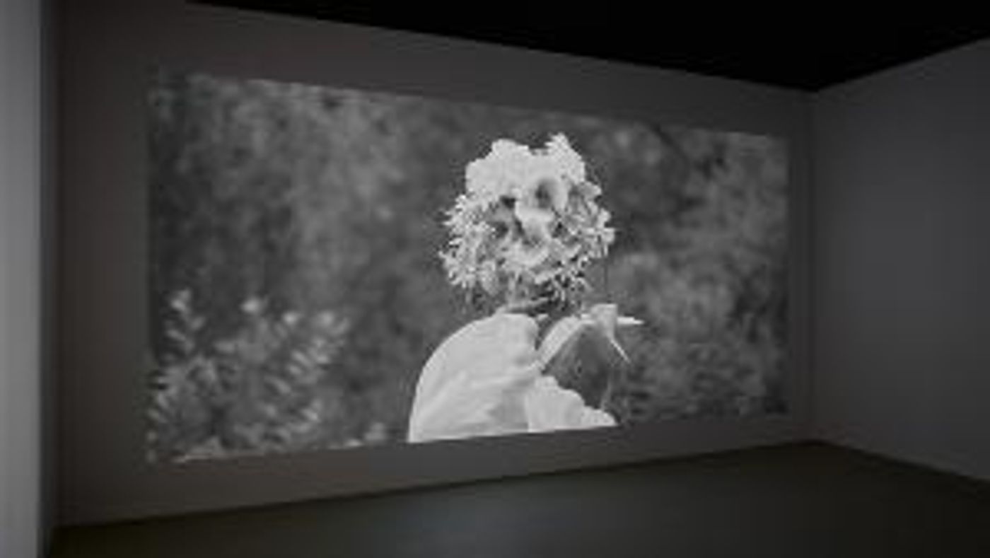 TOURMALINE Wins the Baloise Art Prize  Image