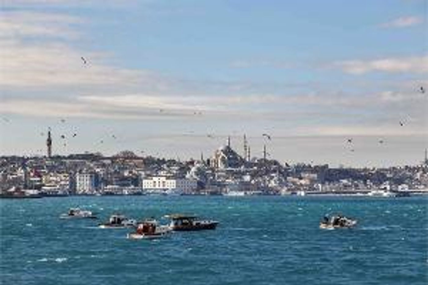 Istanbul Biennial Announces List Of Contributors  Image