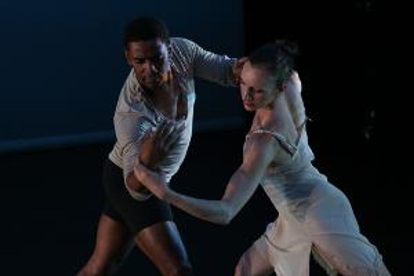 Lydia Johnson Dance Presents Three Premieres September At New York Live Arts Guest Artist Craig Hall  Image