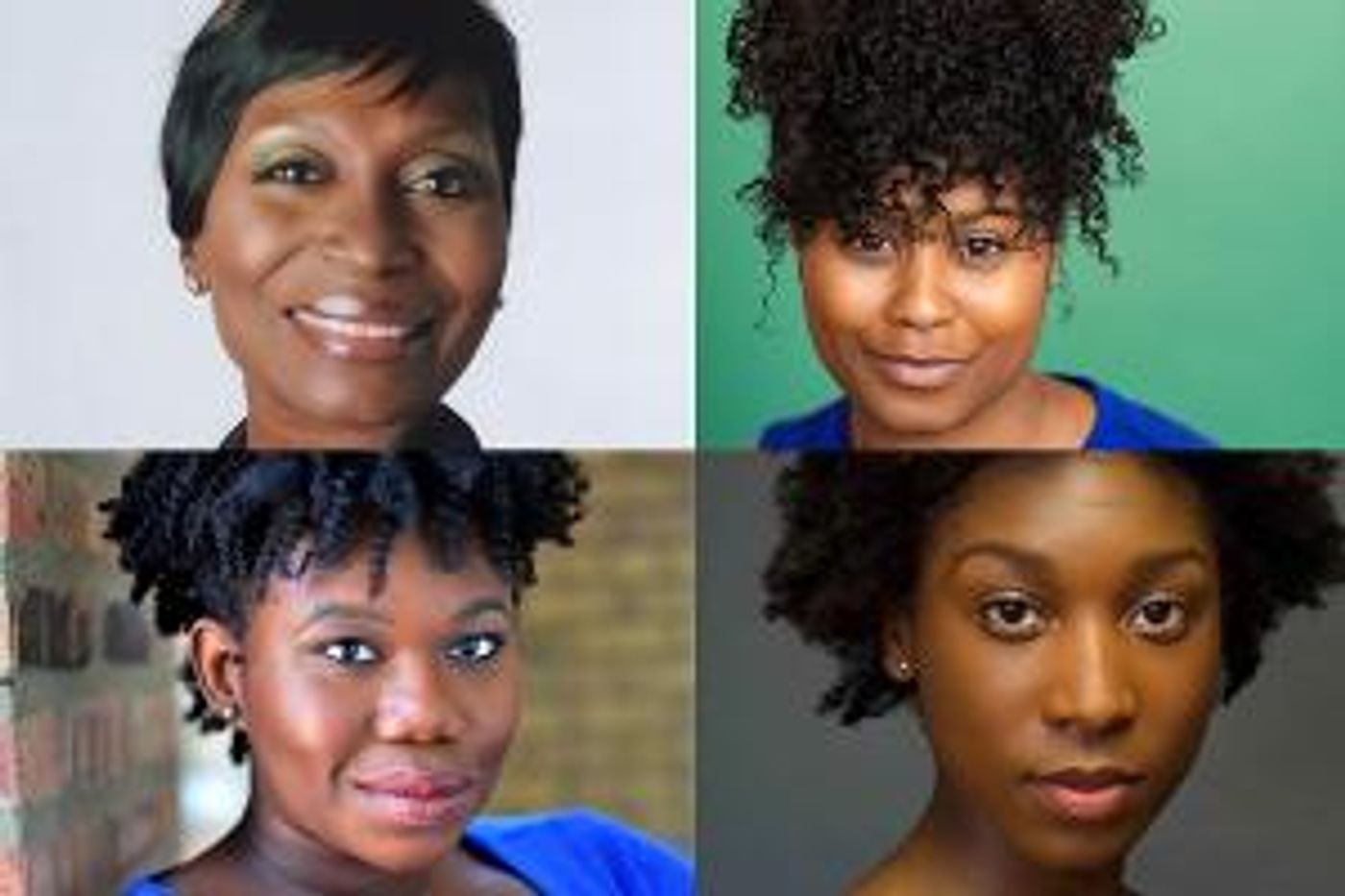 Shattered Globe Theatre Presents STEW Next Month at Theatre Wit  Image