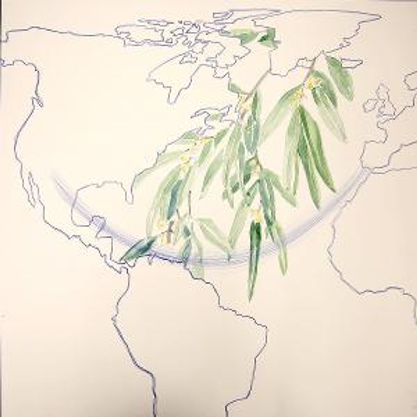 En Exposición Binacional Revisan La Vida Migrante De Las Plantas En El Museo De Arte De Ciudad Juárez  Image