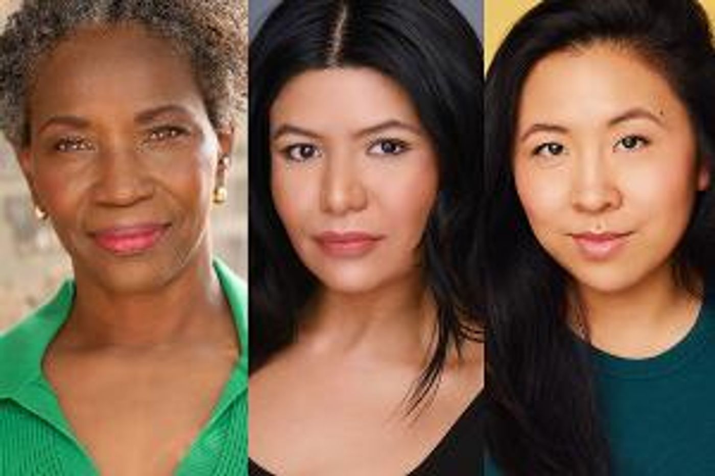 Cast Announced For The New Coordinates' LAST ASCENT at The Den Theatre in October  Image