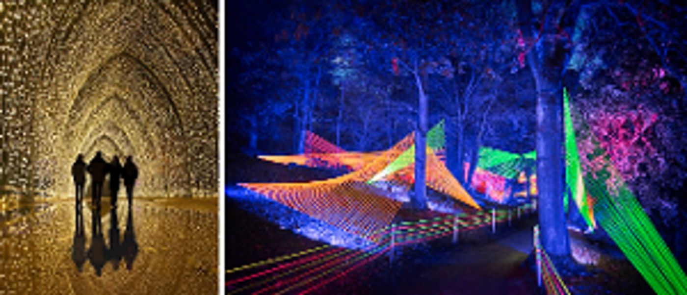 Holiday Light Event Lightscape Returns To The L.A. Arboretum  Image