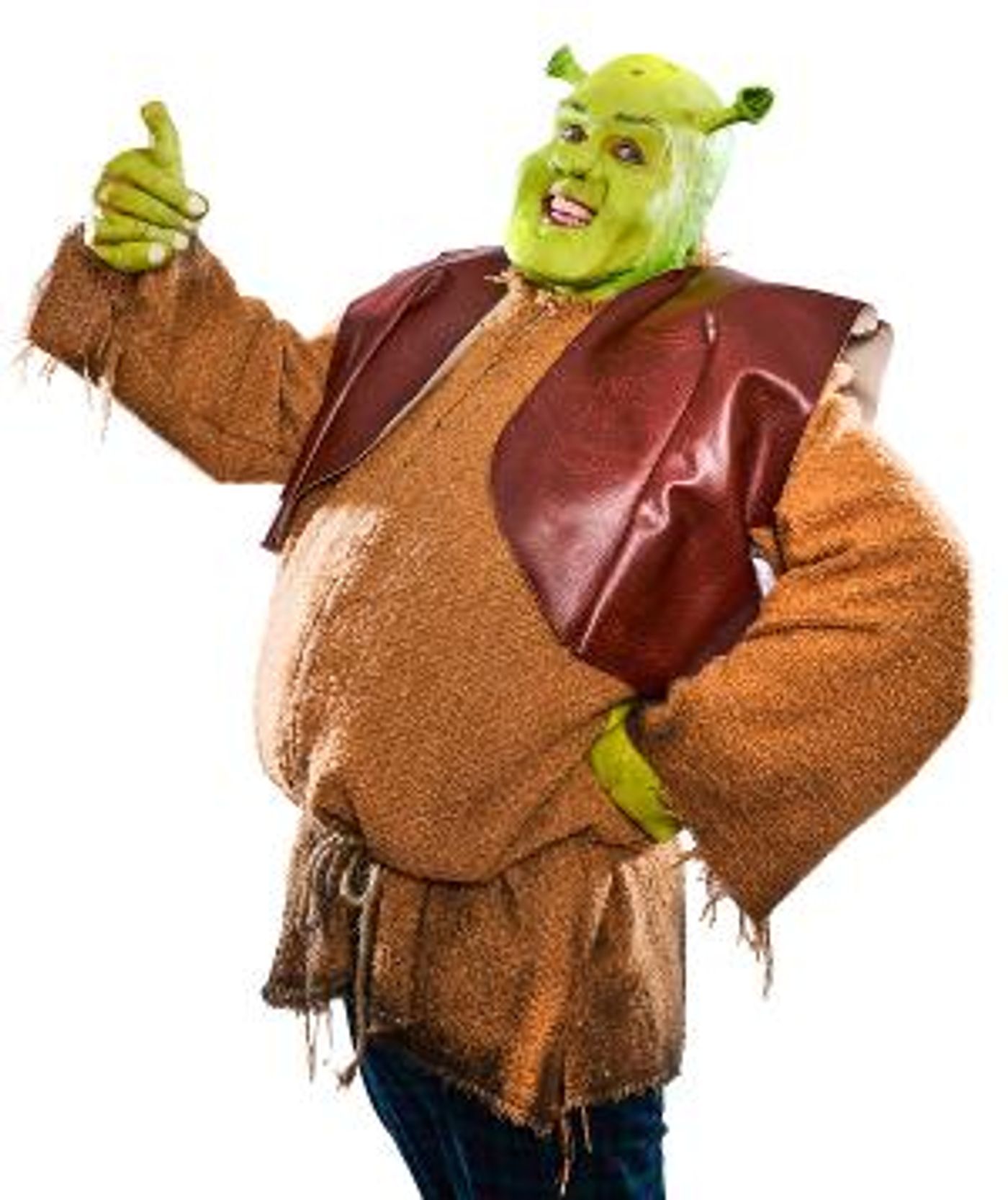 Full Cast Announced For SHREK THE MUSICAL at Wolverhampton Grand  Image