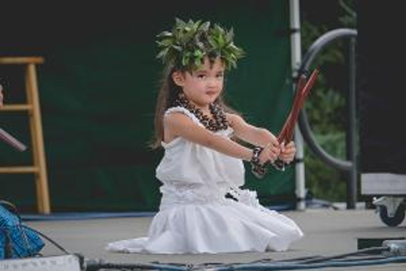 Live Aloha Hawaiian Cultural Festival Features Music, Hula, Ono Food, Workshops, and More  Image