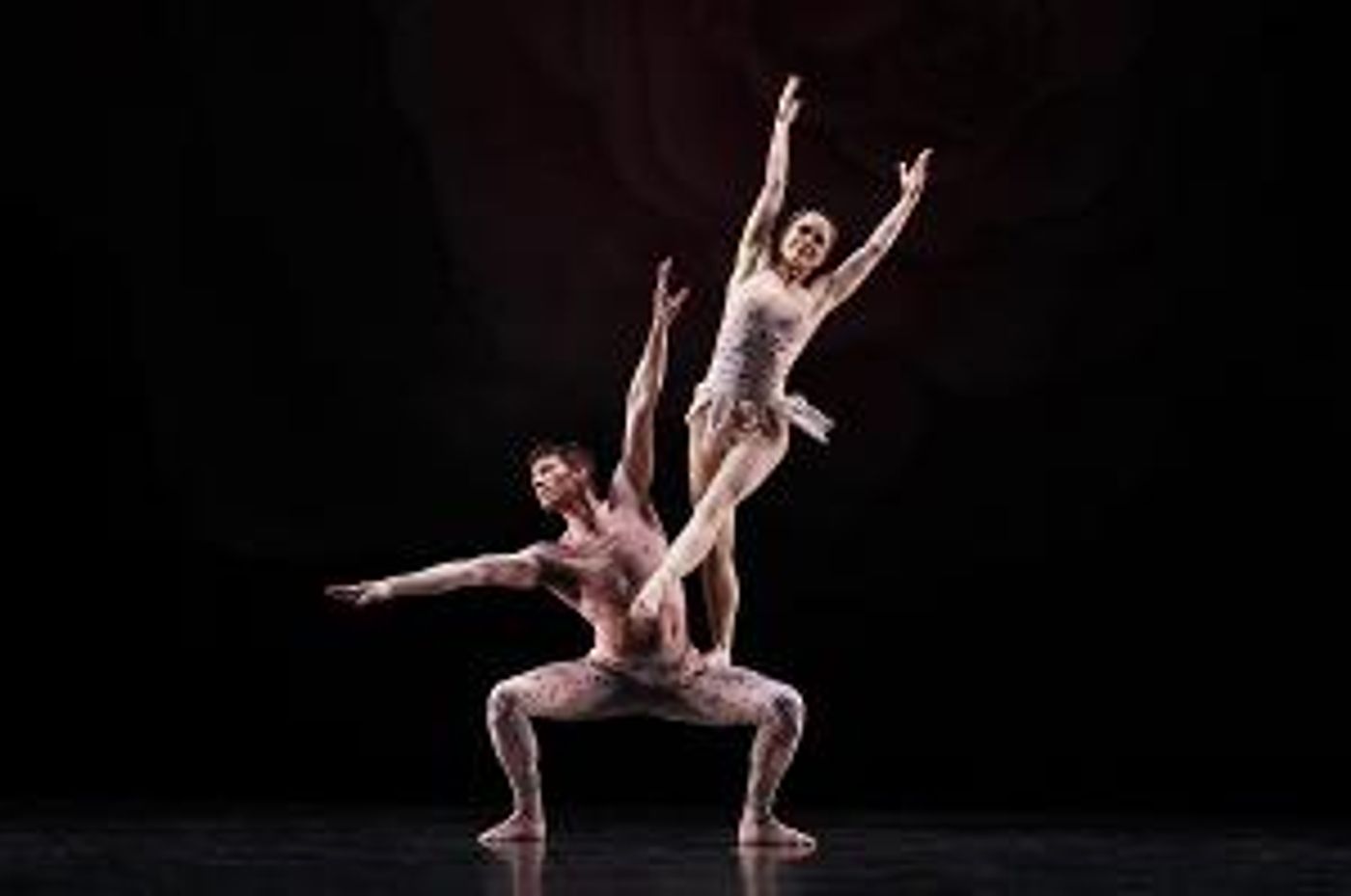 Paul Taylor Dance Company Returns To The Eisemann Center Next Month  Image