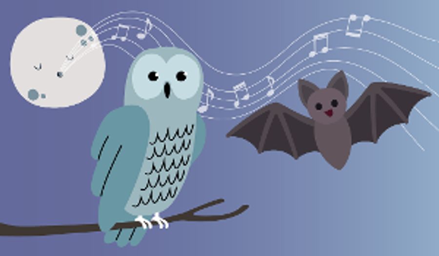 Plano Symphony Orchestra Kicks-off Plano Symphony Family Series With Interactive Concert Celebrating Music Written About Animals Image