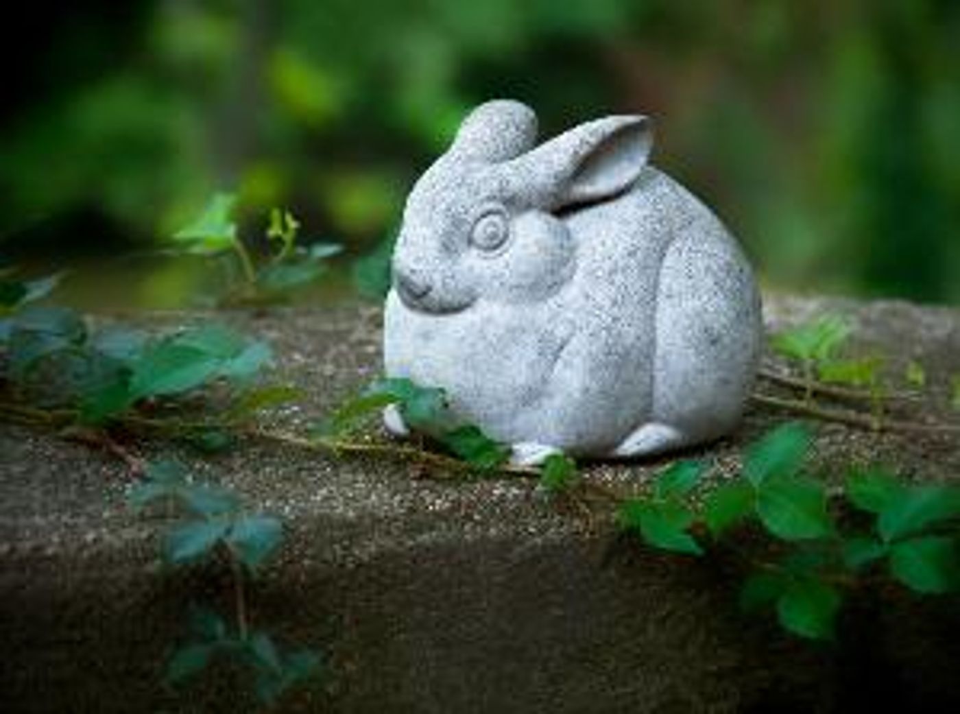 Stories On Stage Presents Kelly Link's STONE ANIMALS Next Month  Image