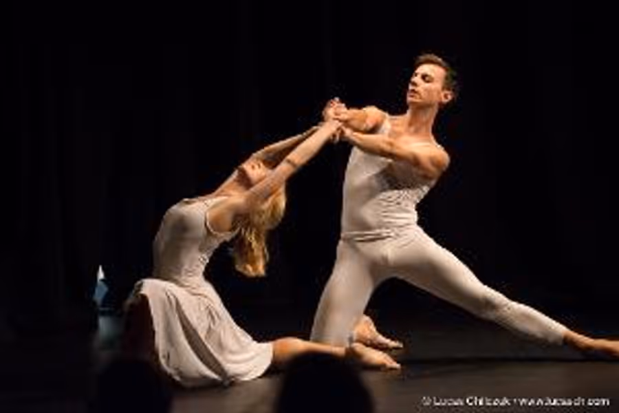 Alison Cook Beatty Dance to Present 10th Anniversary Performance at New York Live Arts in November Image