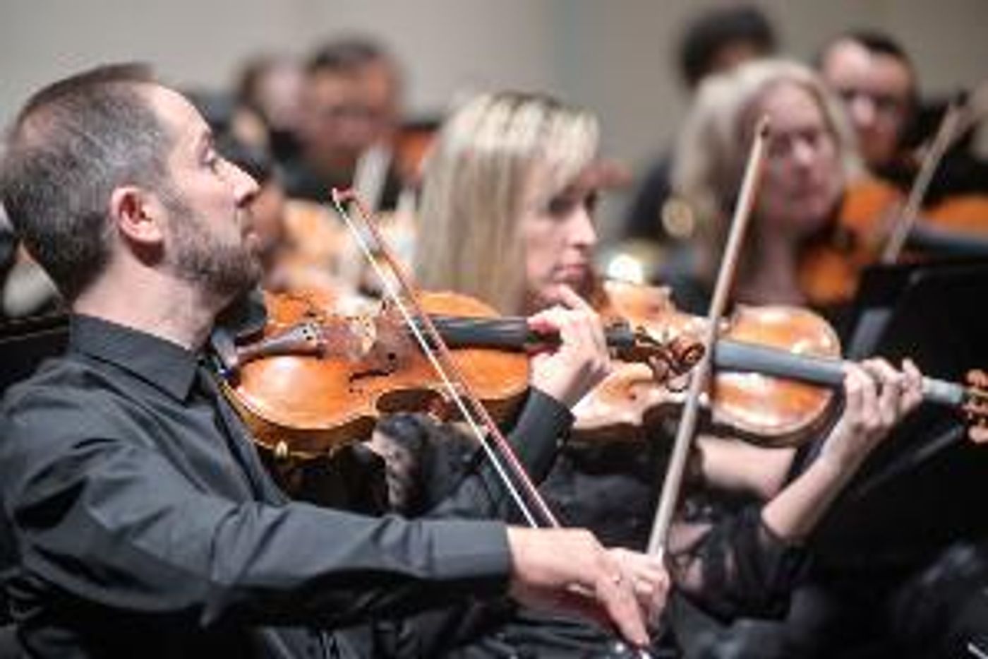 Sarasota Orchestra and Van Wezel Co-Present Hurricane Ian Relief Concert On Friday  Image