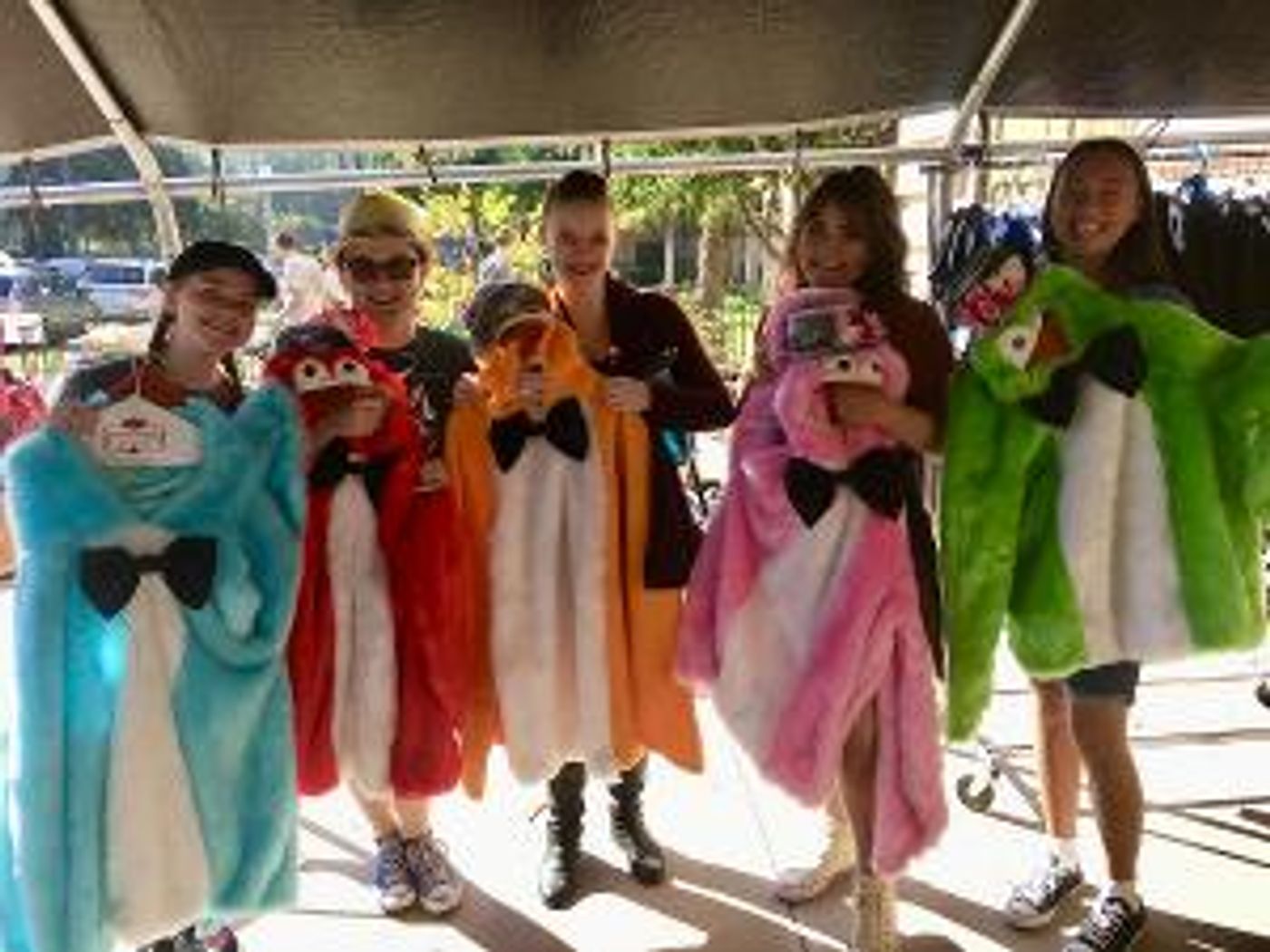 Sd Junior Theatre Announces SDJT Auxiliary's Costume Sale  Image
