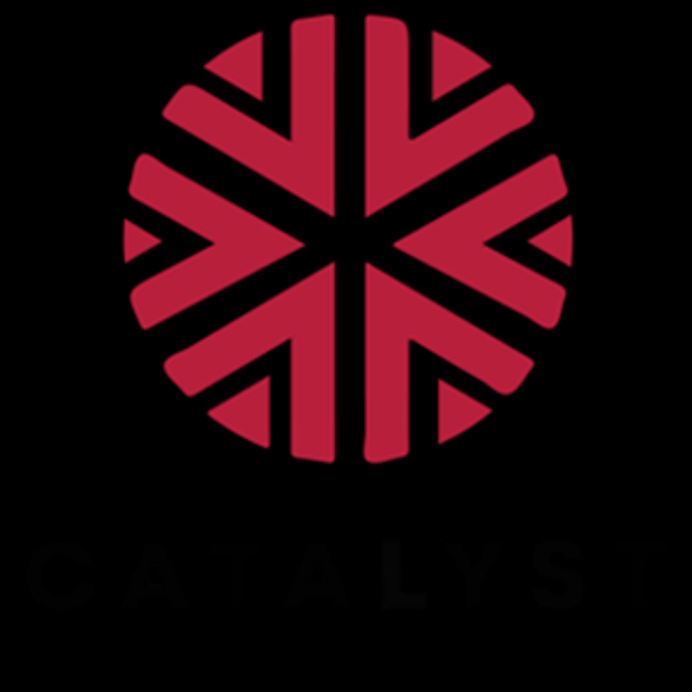 Award Winners Announced For 17th Annual Catalyst Story Institute Content Festival  Image