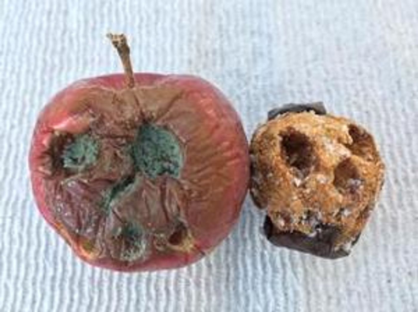 Mad Science, Monsters, and Mummies Come to The SI Museum and Art Lab  Image