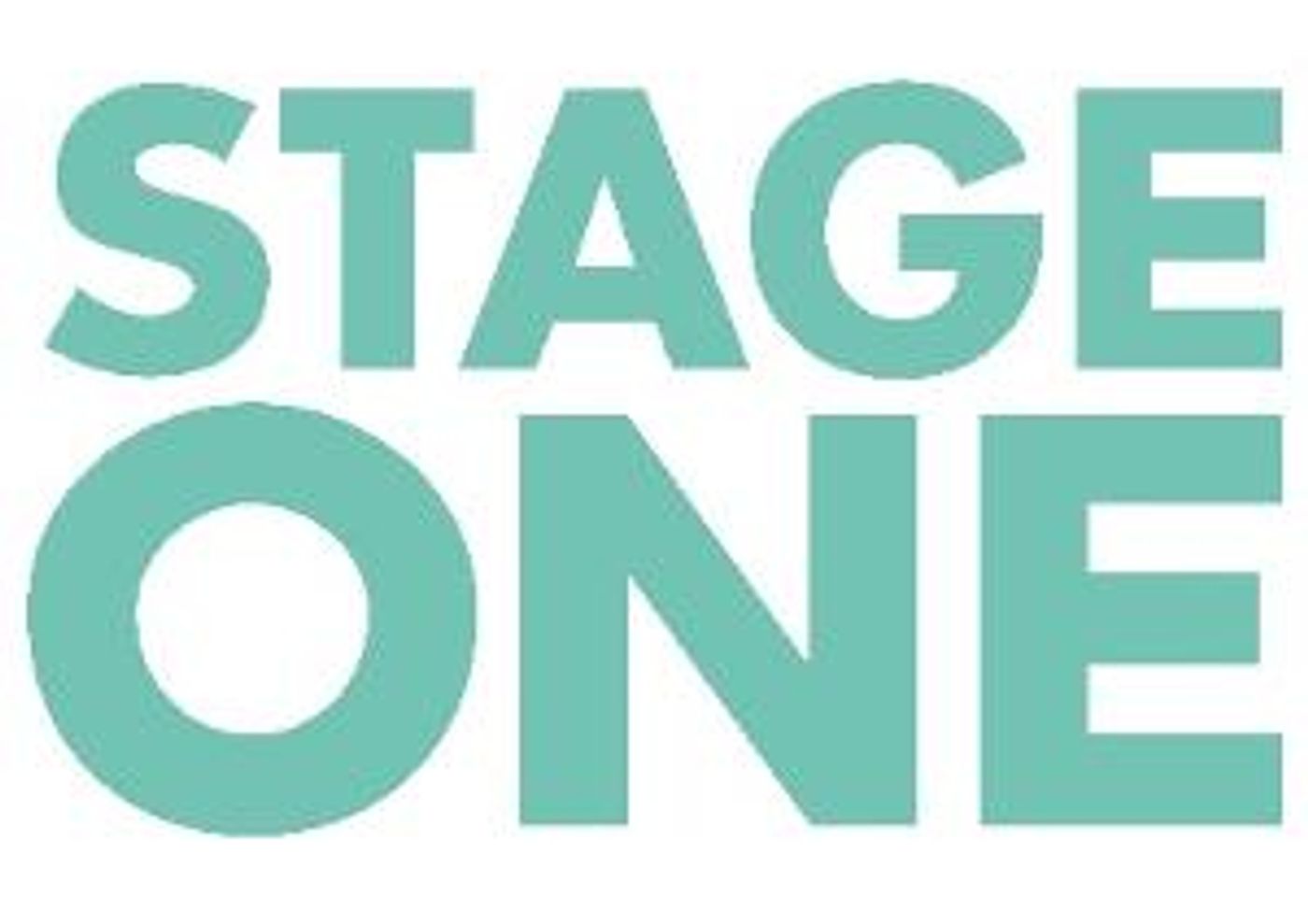 Stage One Announces The Appointment Of Deborah Lincoln As New Chair Of The Board Of Trustees  Image