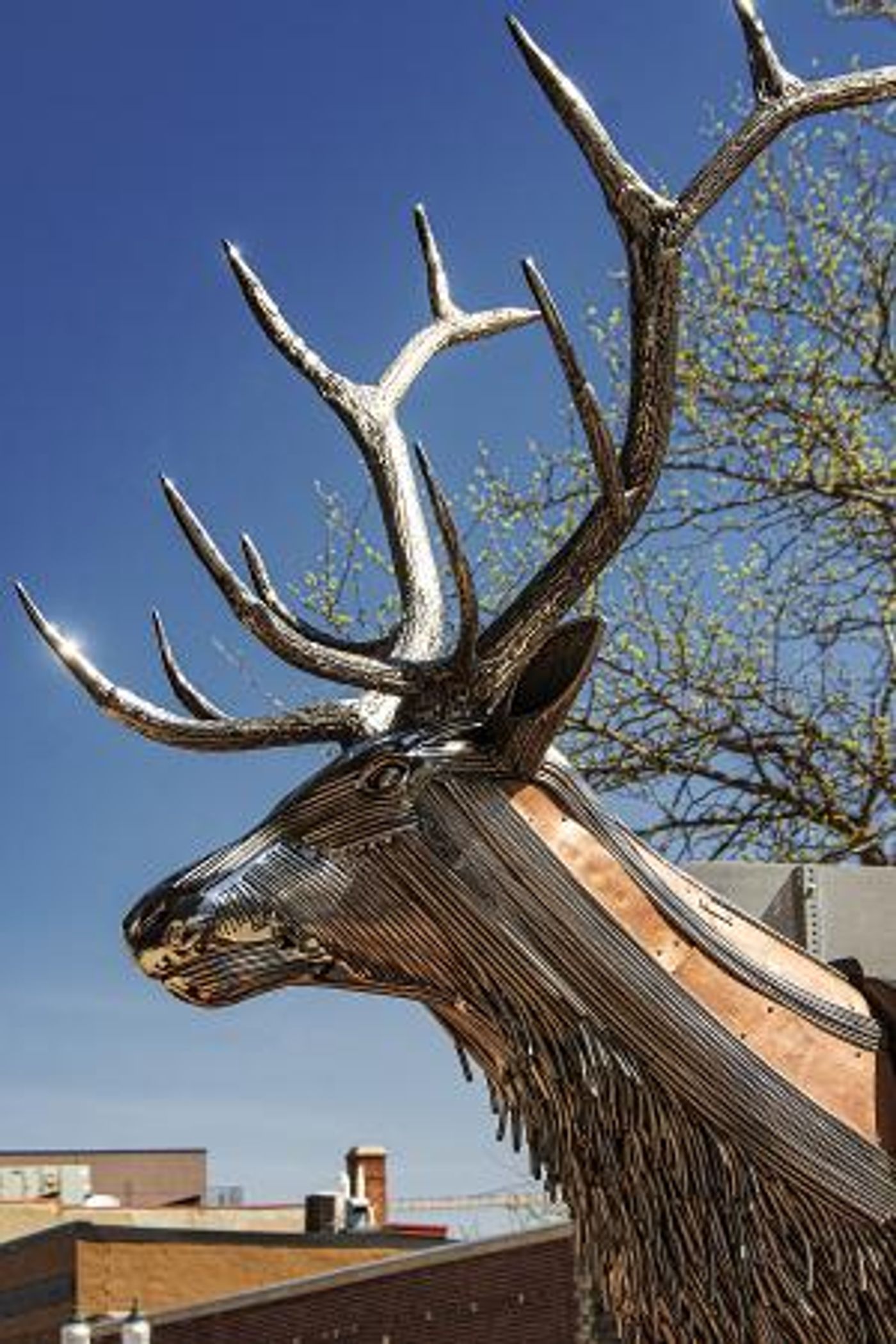 ELK By Travis Sorenson Wins SculptureWalk's 2022 People's Choice Award  Image