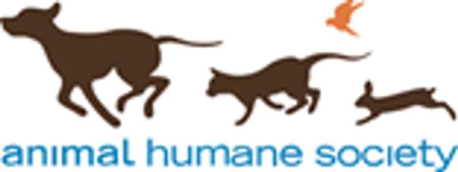 Hennepin Theatre Trust and Animal Humane Society Team Up To Celebrate The Spirit Of CATS This Weekend Image