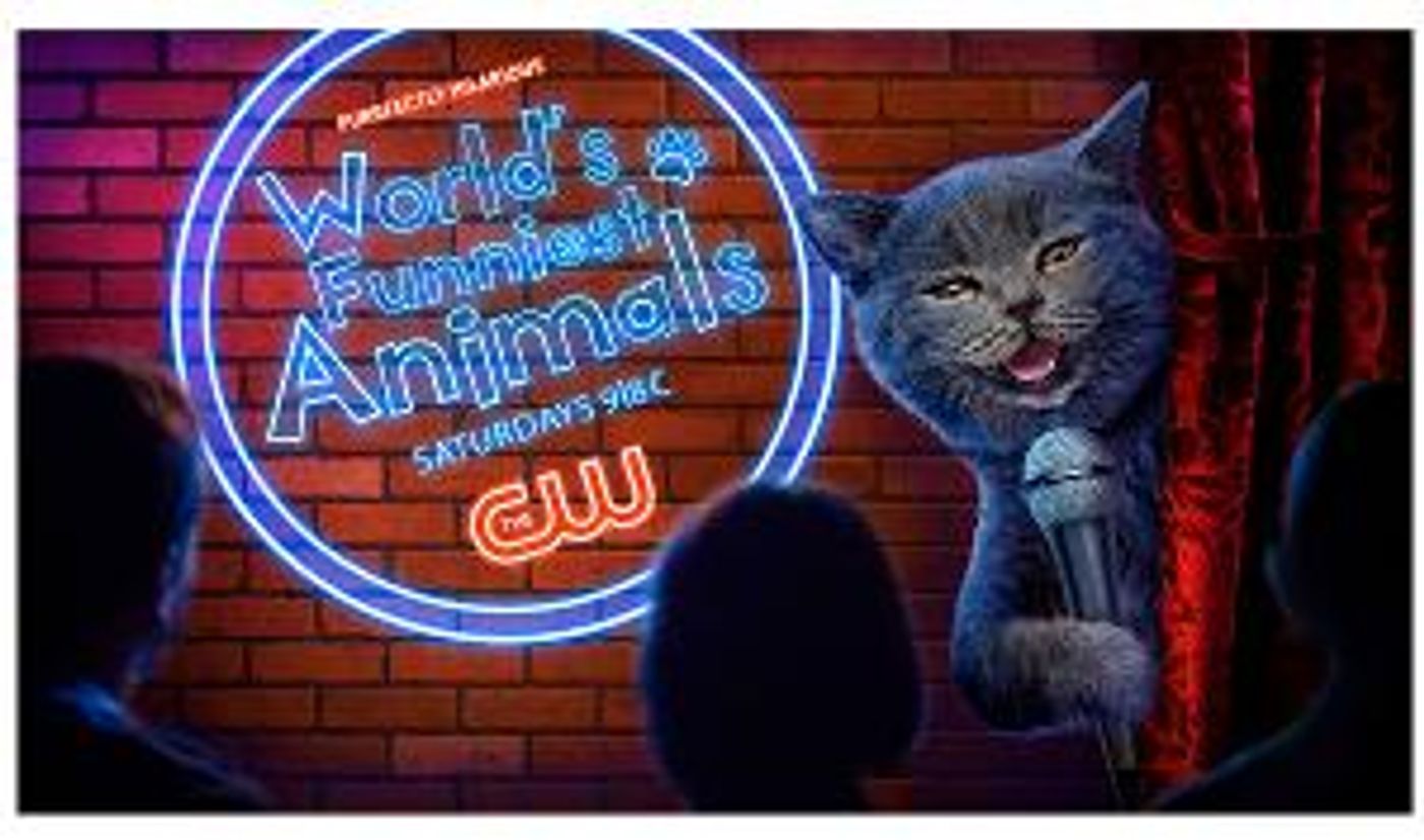 Devouring Doodles, Elated Elephants, and Pampered Pit Bulls are Up Next on WORLD'S FUNNIEST ANIMALS  Image