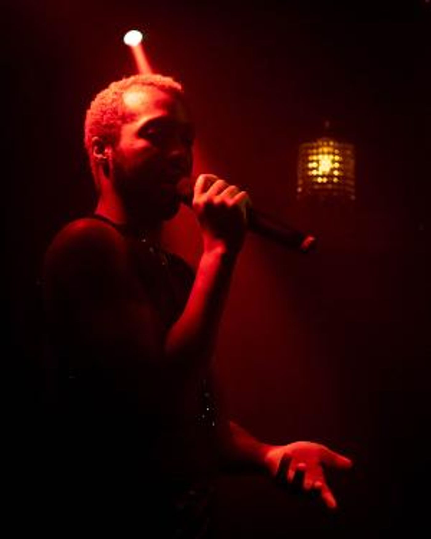 Rose Room's WEIMAR VISIONS Begins Previews  Image