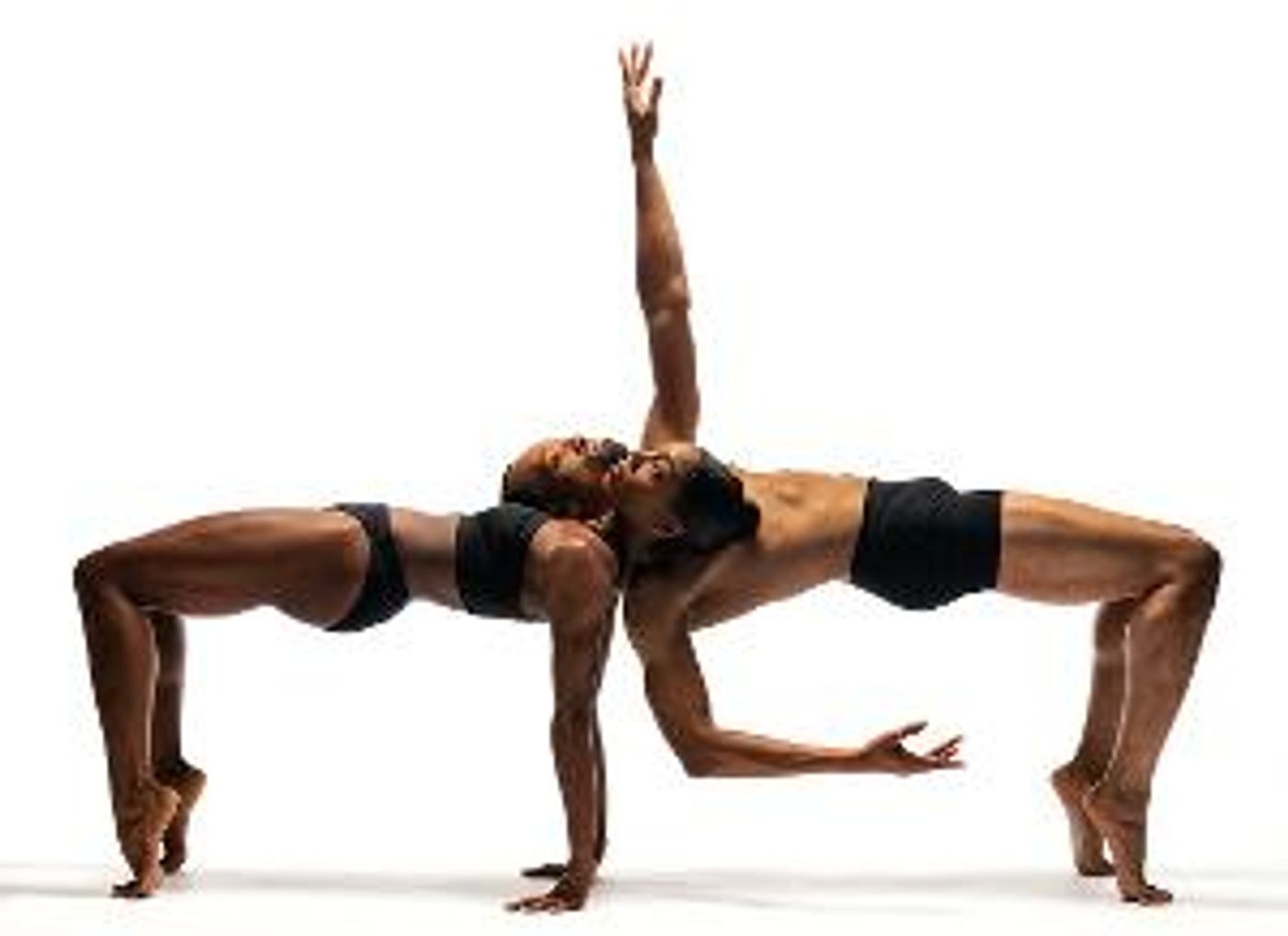 Conservatory Of Performing Arts Alumni Return To Pittsburgh Playhouse  Image