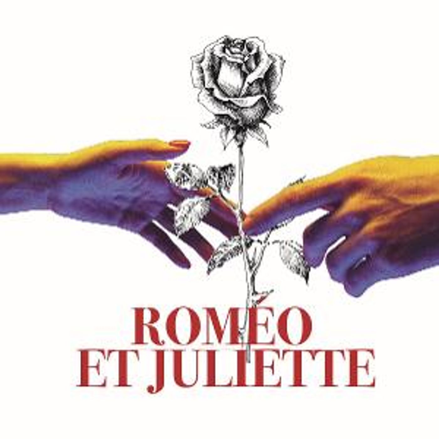 Opera Naples Welcomes Back Patrons With Toast To Opera, ROMEO ET JULIETTE Performances  Image