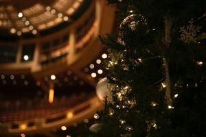 Dallas Symphony Orchestra Announces Christmas Concerts  Image