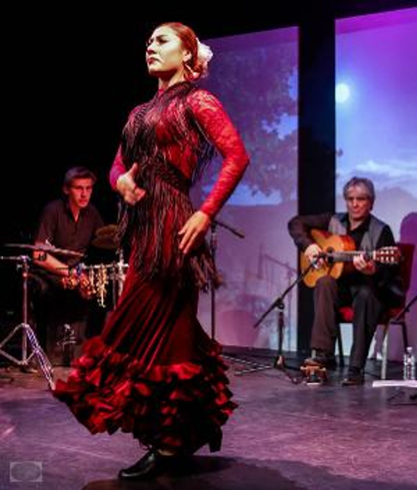Compañia Chuscales & Mina Fajardo and Teatro Paraguas to Present HOLIDAY FLAMENCO in December  Image
