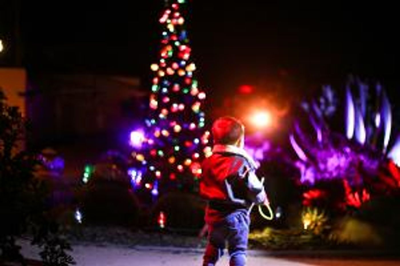 Celebrate The Holidays With Casa Romantica, San Clemente's Premier Art Destination  Image