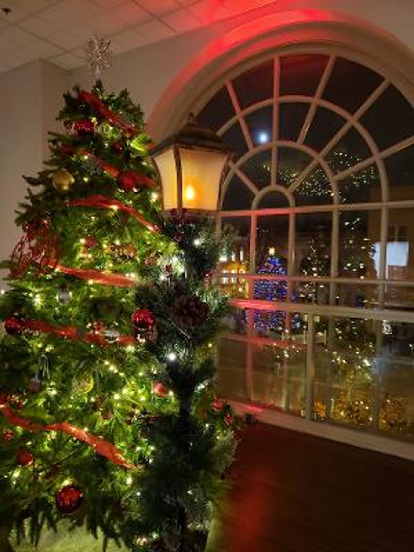 Franklin County to Host FESTIVAL OF TREES Beginning This Month  Image