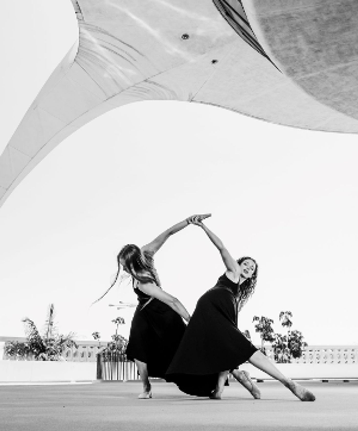 Benjamin Millepied and Nico Muhly Headline Dance Festival in Qatar This Month  Image