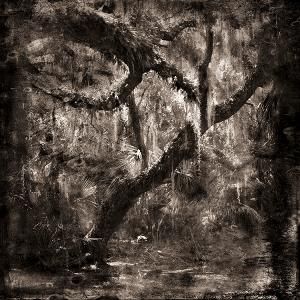 Palm Beach Photographic Centre Is Hosting FOTOfusion 2023 Next Month  Image