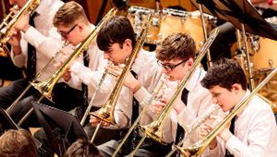 The Irish Association of Youth Orchestras Returns To The National Concert Hall Saturday, February 11 Image