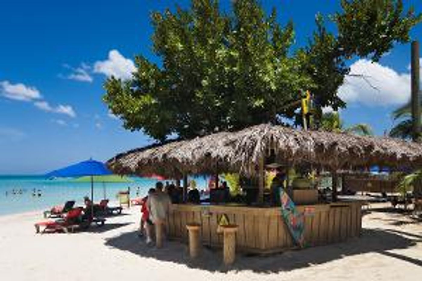 Jimmy Buffett's ESCAPE TO MARGARITAVILLE Comes to Naples' TheatreZone Next Month  Image