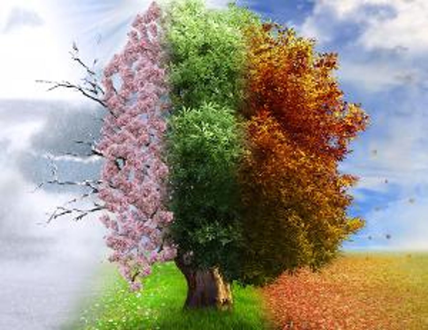 Long Beach Symphony Presents Vivaldi's Four Seasons and Mozart's Symphony No. 40 In G Minor in February  Image