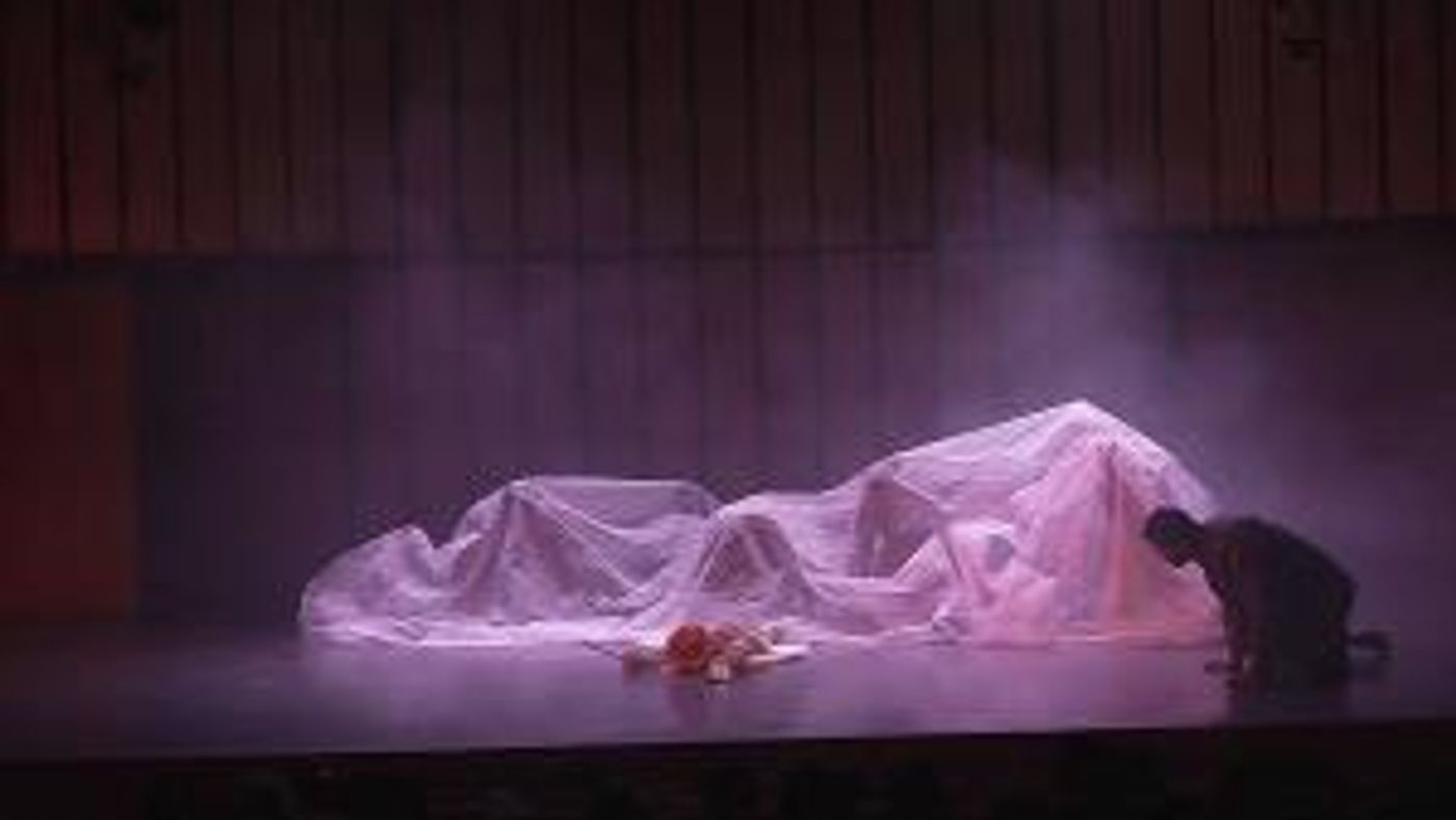 The 19th Ishara International Puppet Festival Is Coming To Delhi And Chandigarh  Image